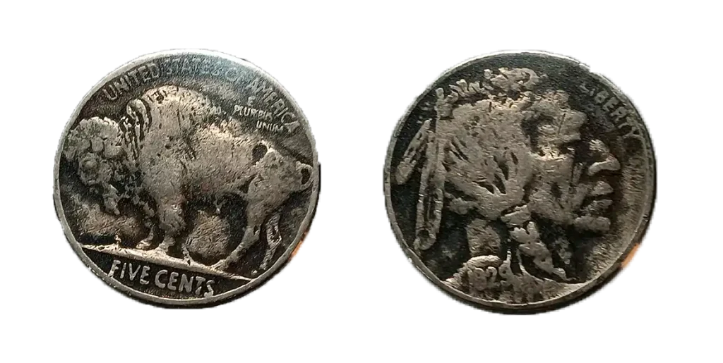 Full Horn detail on a Buffalo nickel